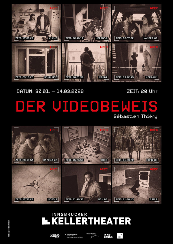 Der Videobeweis